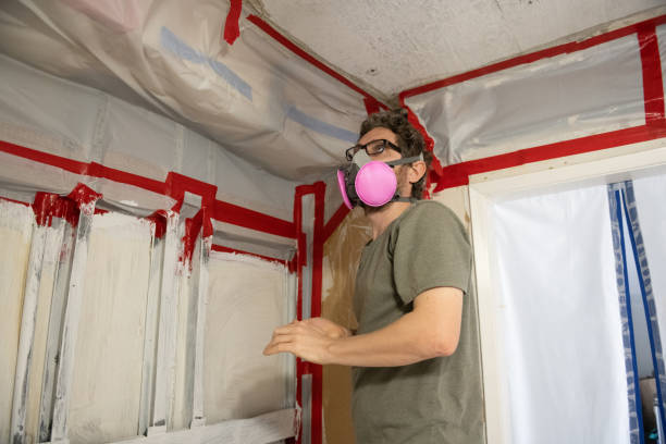 Best Mold Remediation for Vacation Homes  in Johnson City, TX