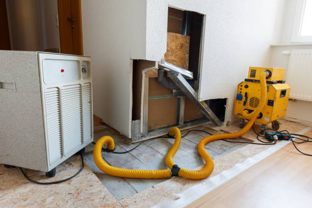 Best Mold Remediation for Rental Properties  in Johnson City, TX