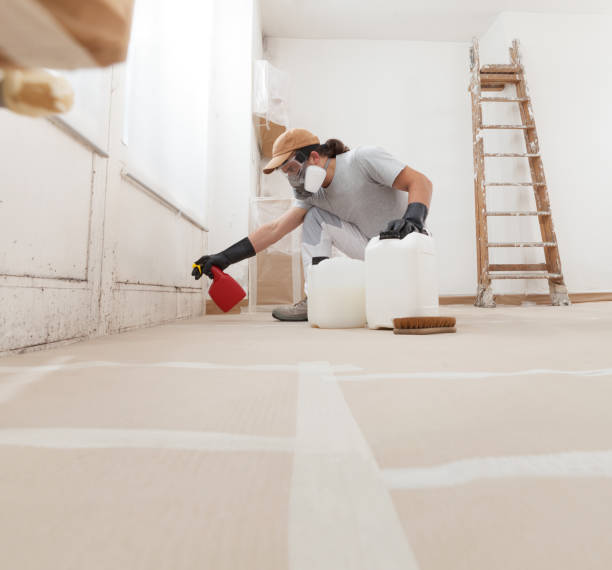  Johnson City, TX Mold Removal Pros